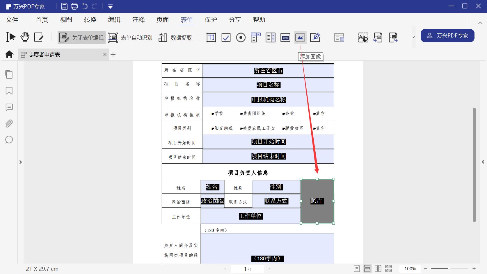 PDF表单域