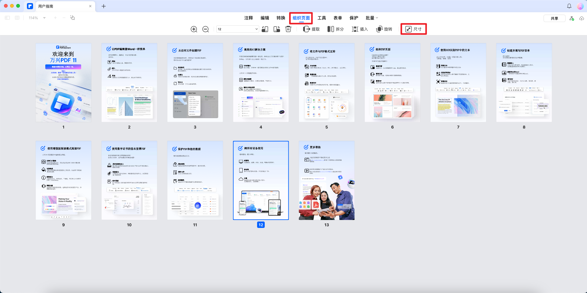 选择页面大小选项